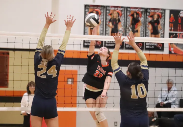 Springfield surges past Warriors